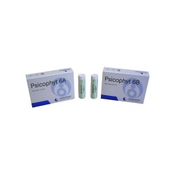Biogroup Psicophyt Remedy 6b 4 Tubi 1,2 G
