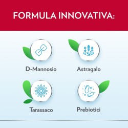 Bayer Gyno-canescystil Cistipro 14 Bustine