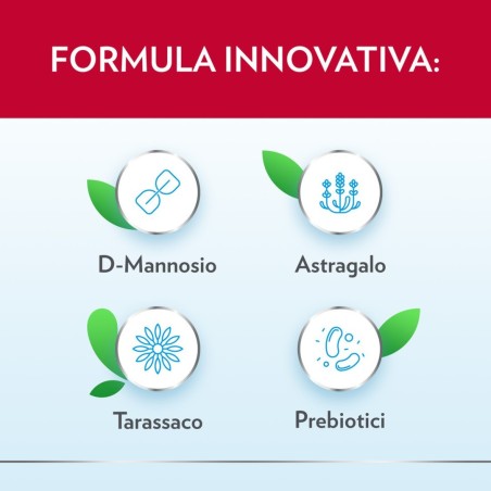 Bayer Gyno-canescystil Cistipro 14 Bustine