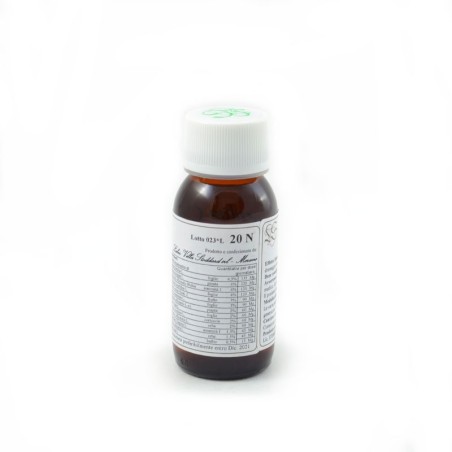 Labor Villa Stoddard Lvs 20n Carpinus Betulus Compositum