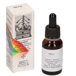 Alkaest Mts2 Auricolaria...