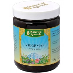 Vigormap Pasta 600 G