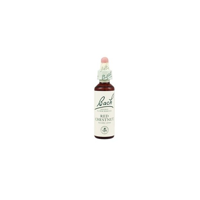 Schwabe Pharma Red Chestnut Bach Orig 20 Ml