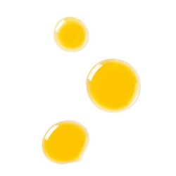 Wala Dr Hauschka Olio Riequilibrante Giorno 18 Ml