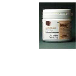 Aneid Maitake Mycology...