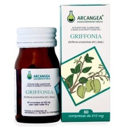 Arcangea Griffonia 60...