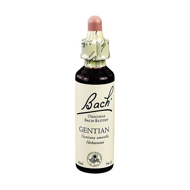 Schwabe Pharma Gentian Bach Orig 20 Ml