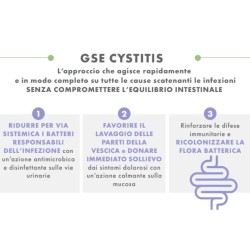 Prodeco Pharma Gse Cystitis Rapid+ 10 Bustine