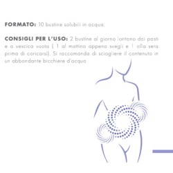 Prodeco Pharma Gse Cystitis Rapid+ 10 Bustine