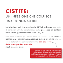 Prodeco Pharma Gse Cystitis Rapid+ 10 Bustine