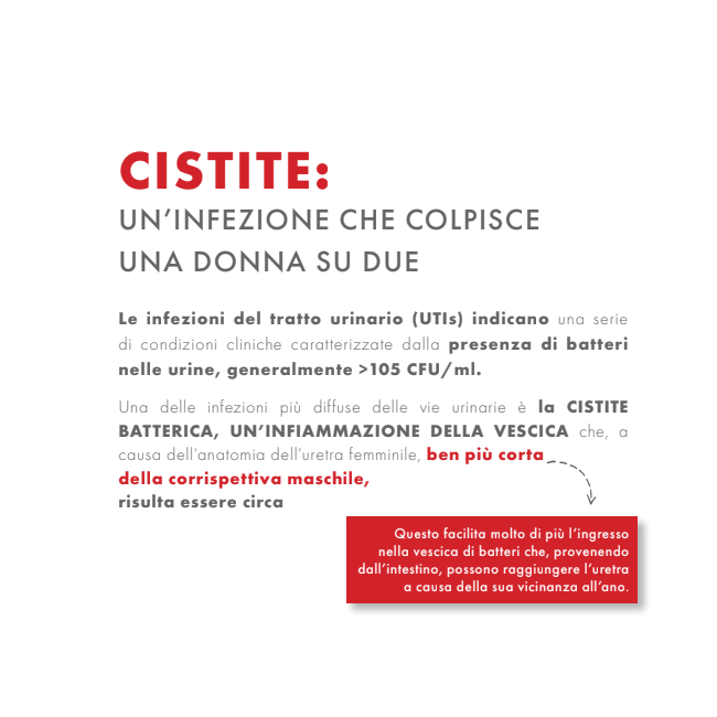 Prodeco Pharma Gse Cystitis Rapid+ 10 Bustine