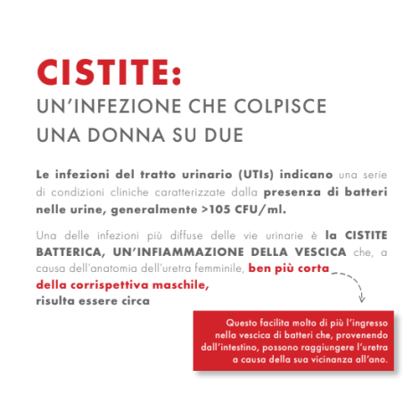 Prodeco Pharma Gse Cystitis Rapid+ 10 Bustine