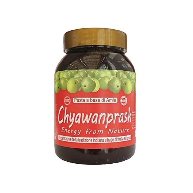 Nawayto Chyawanprash Special 500 G