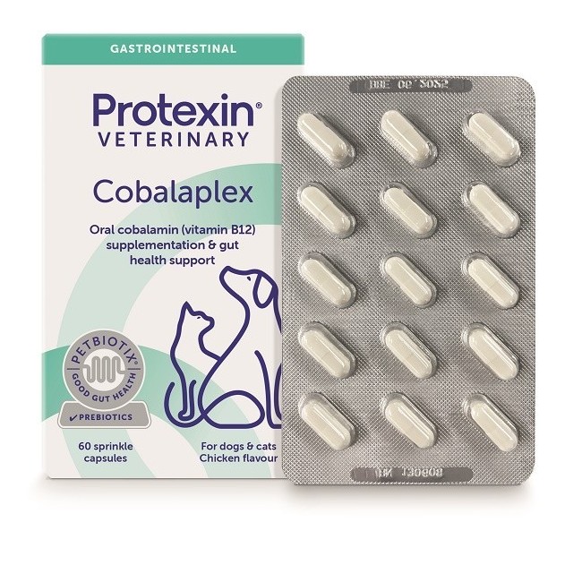 Adm Protexin Cobalaplex 60 Capsule