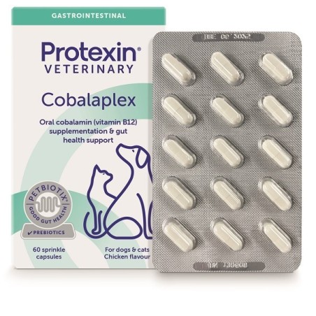 Adm Protexin Cobalaplex 60 Capsule