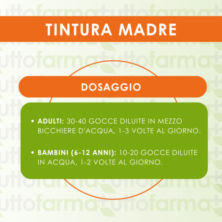 Hering Ficus Carica 60 Ml Tintura Madre