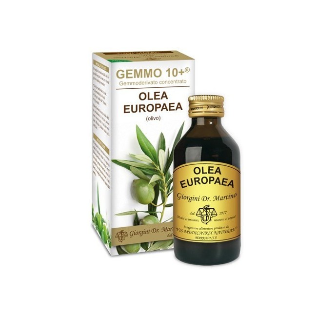 Dr. Giorgini Gemmo 10+ Olivo 100 Ml Liquido Analcolico