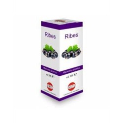 Oti Officine Terapie...