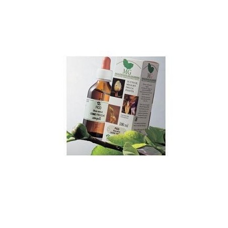 Sangalli Laboratorio Erboristico Rosa Canina Macerato Glicerico 100 Ml