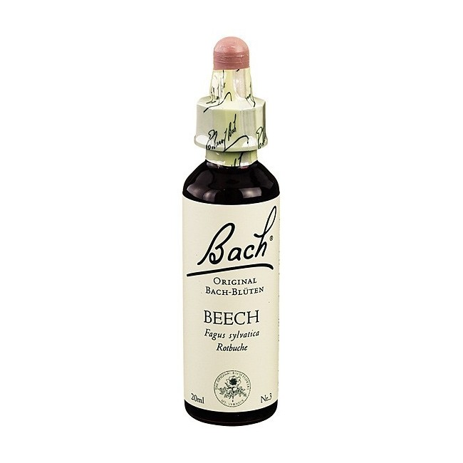 Schwabe Pharma Beech Bach Orig 20 Ml