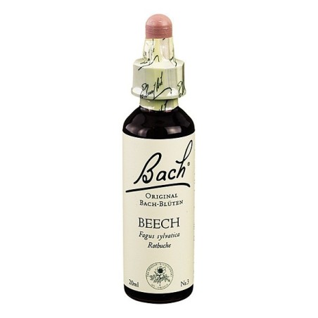 Schwabe Pharma Beech Bach Orig 20 Ml
