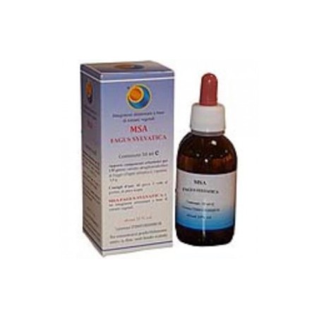 Herboplanet Msa Fagus Sylvatica 50 Ml