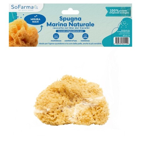 So. Farma. Morra Spugna Marina Naturale Maxi Sofarmapiu'