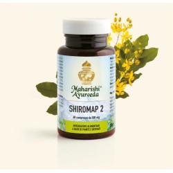 Map Italia Shiromap 2 60...