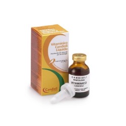 Candioli Ist. Profil. E...