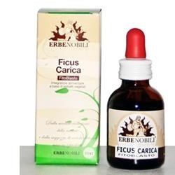Erbenobili Fitoblasto Ficus Carica 50 Ml
