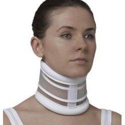 Dual Sanitaly Soc. Benefit...