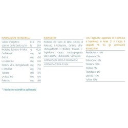 Italfarmacia Amin 21k Cacao 336 G
