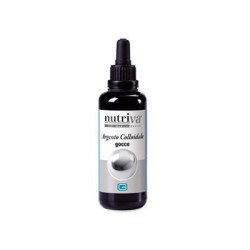 Giuriati Group Argento...