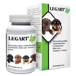 Ddfarma Legart Up 60...